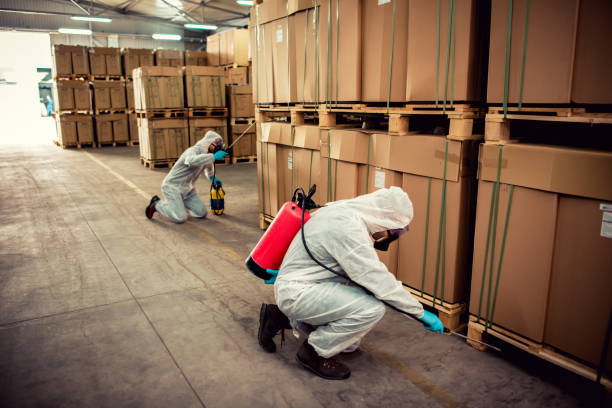 Reliable North Prairie, WI Pest Control Solutions