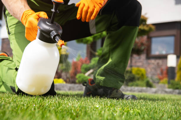 Best Emergency Pest Control  in North Prairie, WI