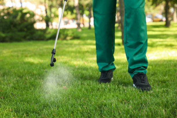 Best Cockroach Control Services  in North Prairie, WI