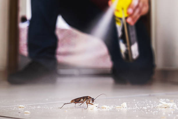 Best Pest Prevention Services  in North Prairie, WI